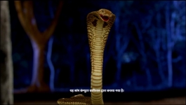 Prem Pratigya - 6th May 2025